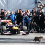 Yuki Tsunoda returns to the wheel of a Red Bull car in Turkey