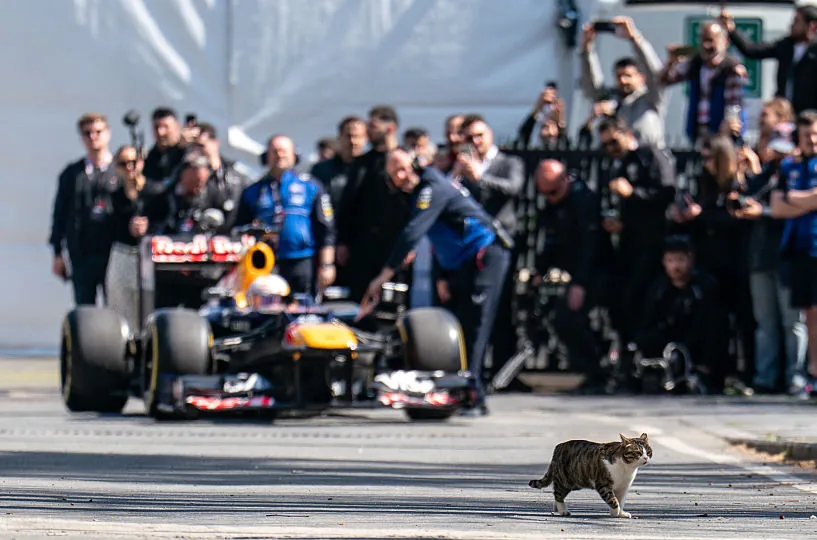 Yuki Tsunoda returns to the wheel of a Red Bull car in Turkey